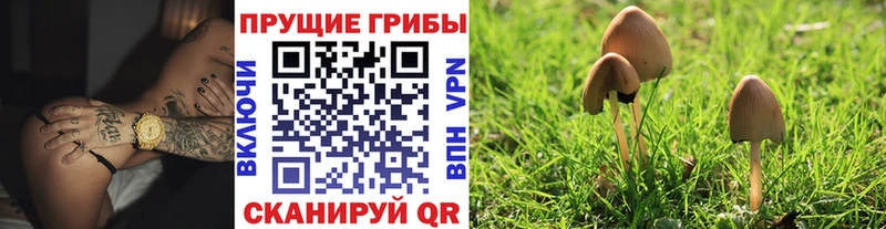 Галлюциногенные грибы мухоморы  Стародуб 